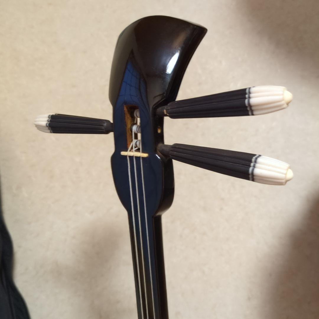 沖縄三線　蛇本革　ケース付き