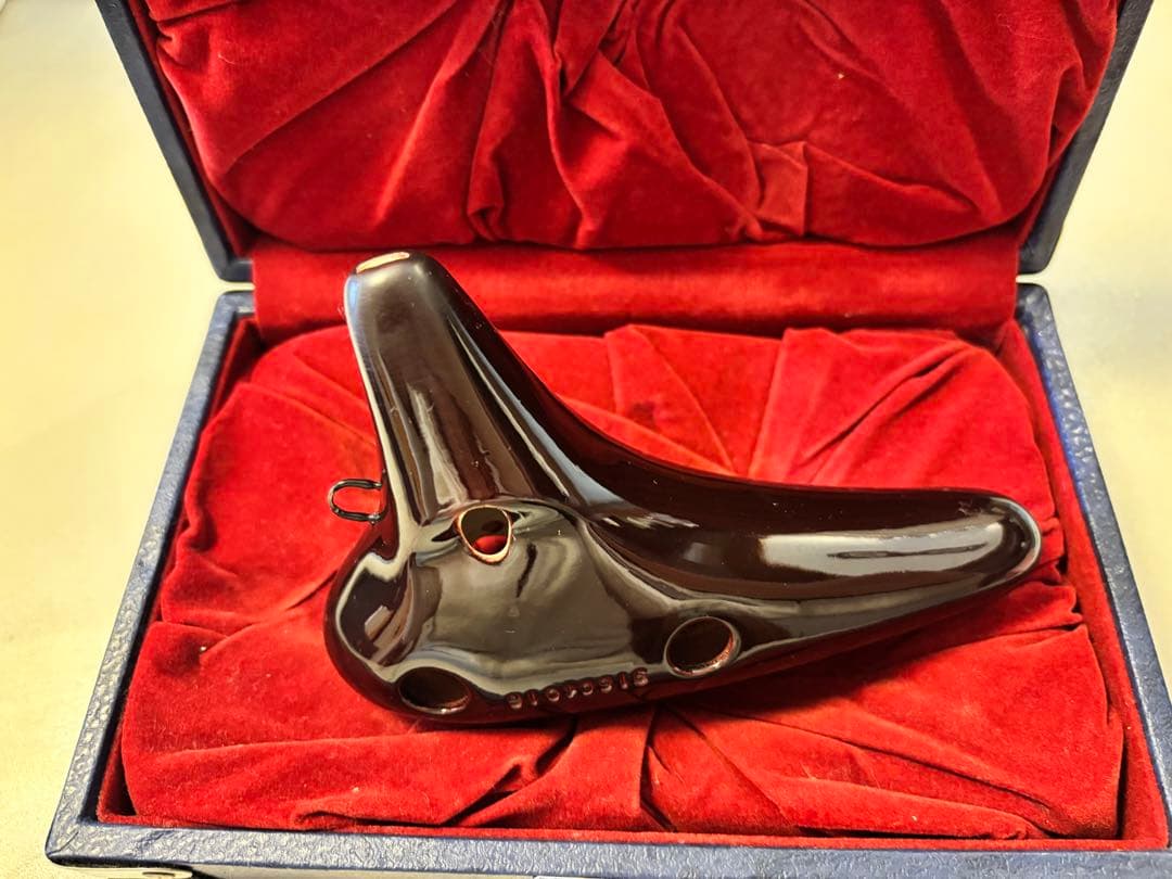 ライリッシュ マエストロ オカリナ AC クリーニング済