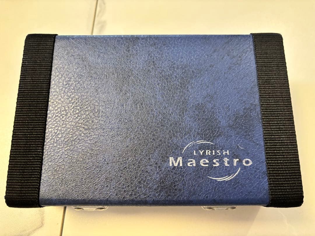 ライリッシュ マエストロ オカリナ AC クリーニング済