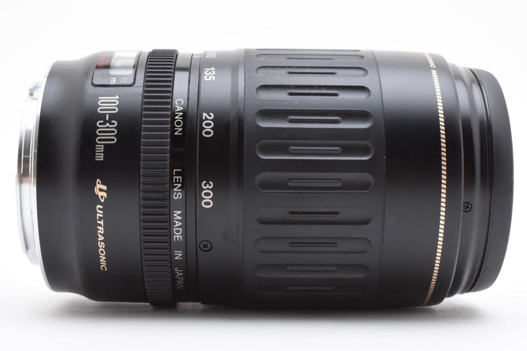 望遠 ズームレンズ Canon EF 100-300mm F 4.5-5.6