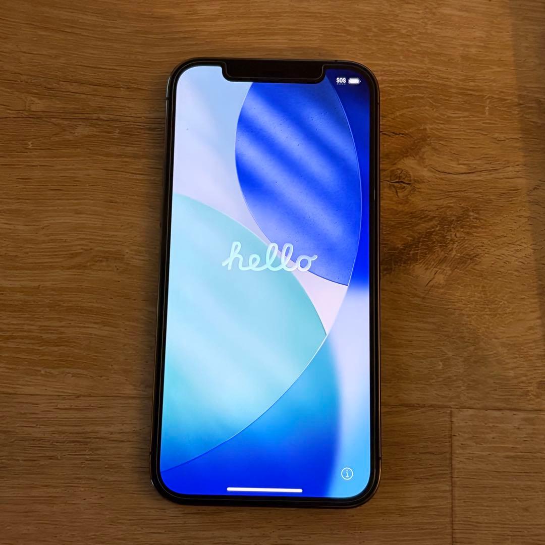 iphone 12 Pro 256GB　SIMフリー