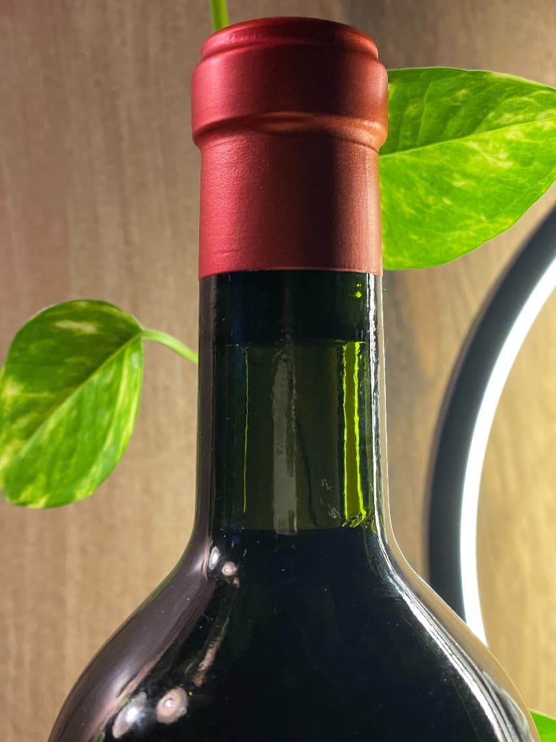 マグダレナ トソ アルゼンチン 2016