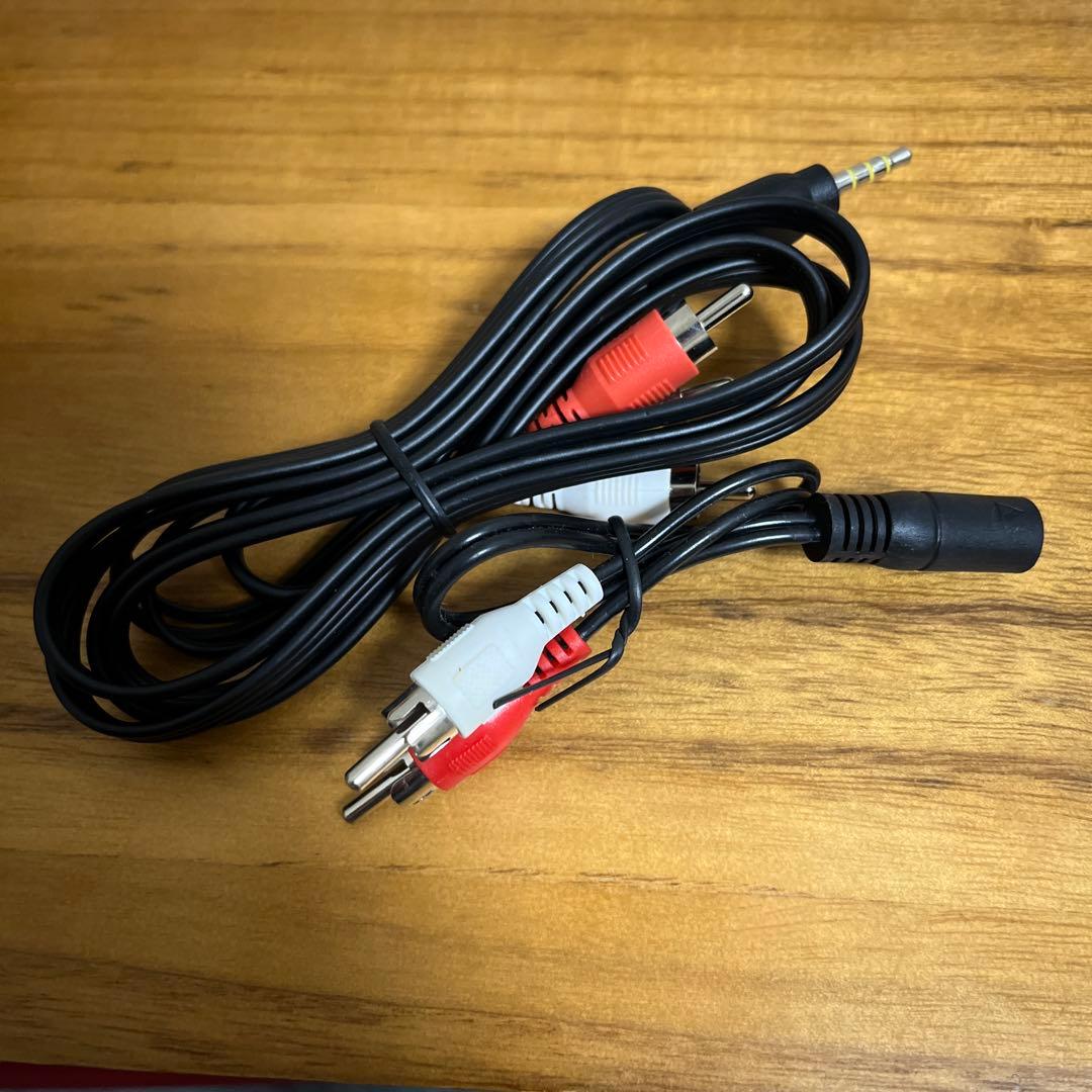 ビデオカメラ Canon iVIS HF M31 SDカード付き