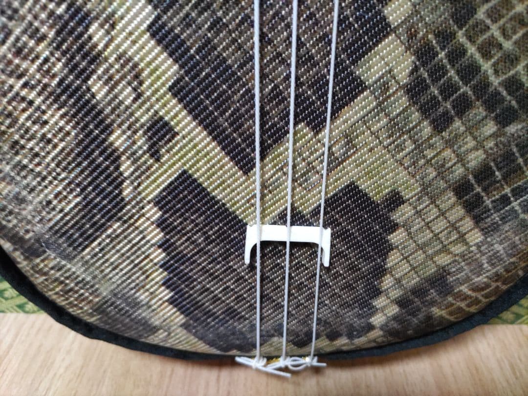 三線 練習用 沖縄 人工革 ヘビ柄