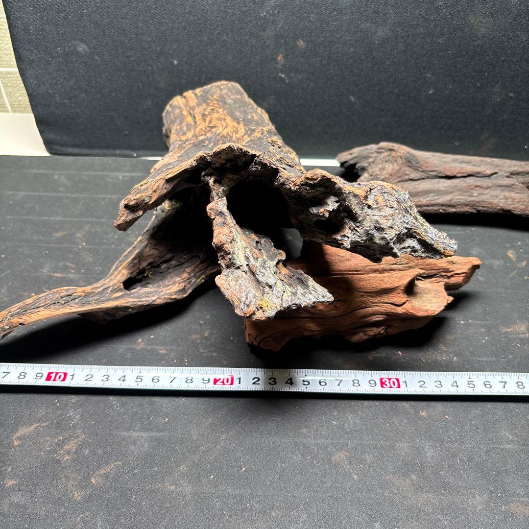 ADAホーンウッド9個