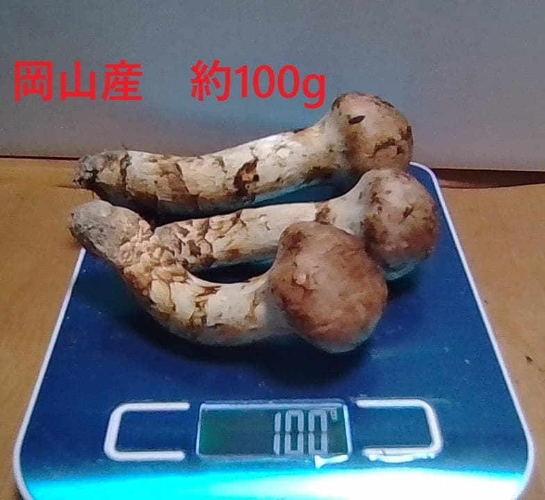 松茸　100g