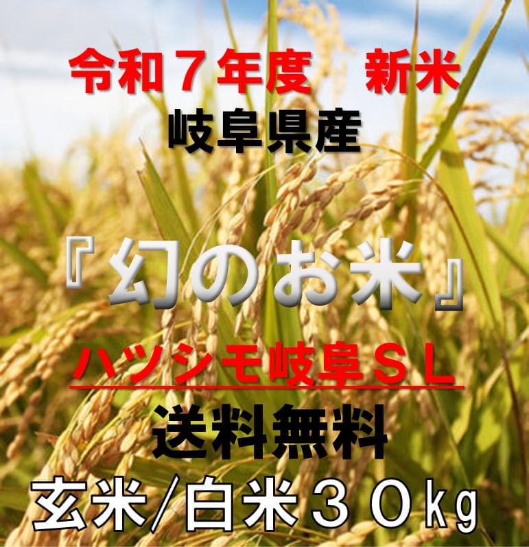 ブランド米　令和７年度『岐阜ハツシモ』新米 玄米(精米も可)　30kg　送料無料