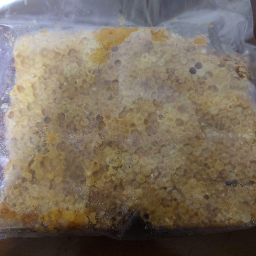 訳あり日本蜜蜂　巣蜜　コムハニー　1200g