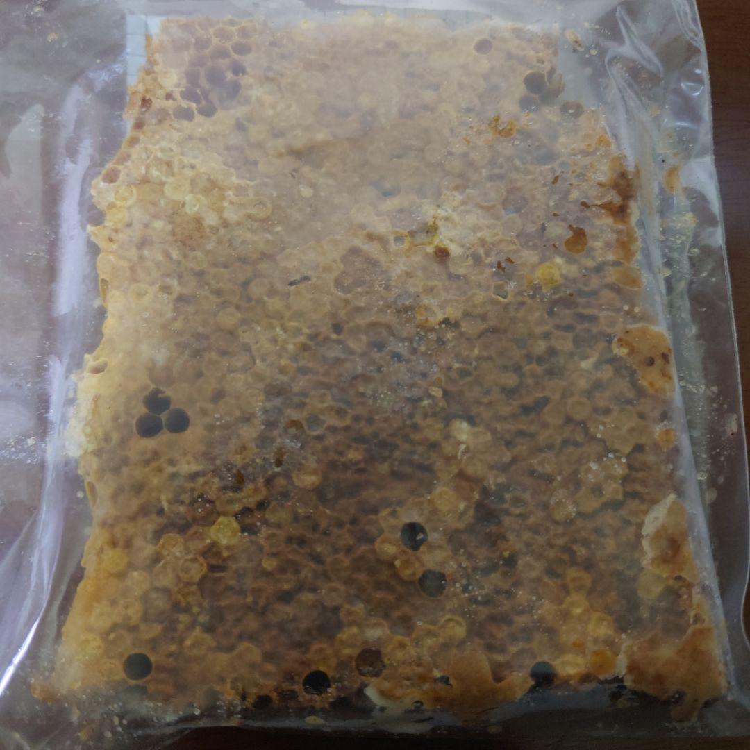 訳あり日本蜜蜂　巣蜜　コムハニー　1200g