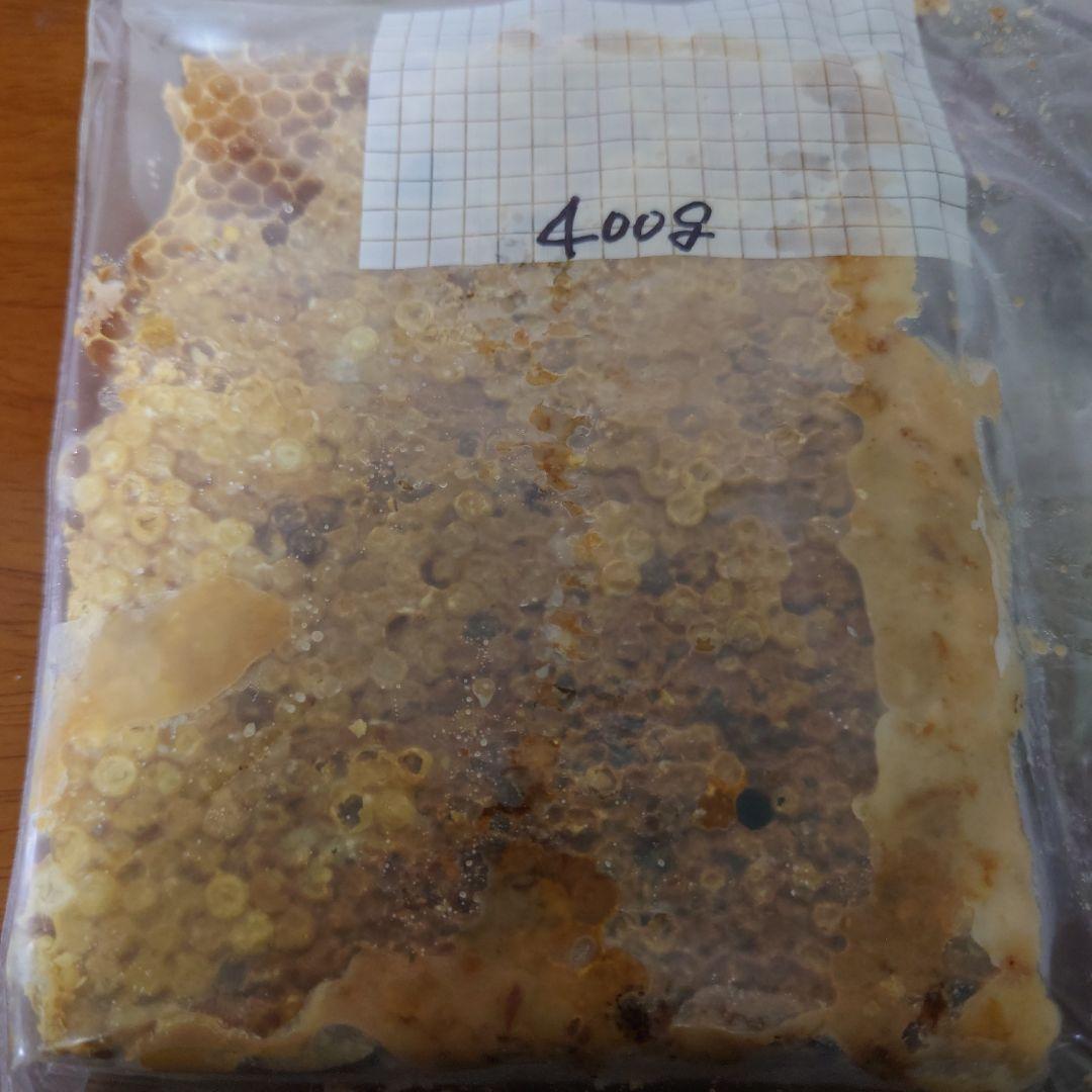 訳あり日本蜜蜂　巣蜜　コムハニー　1200g