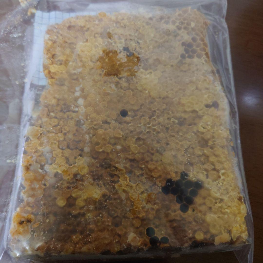 訳あり日本蜜蜂　巣蜜　コムハニー　1200g