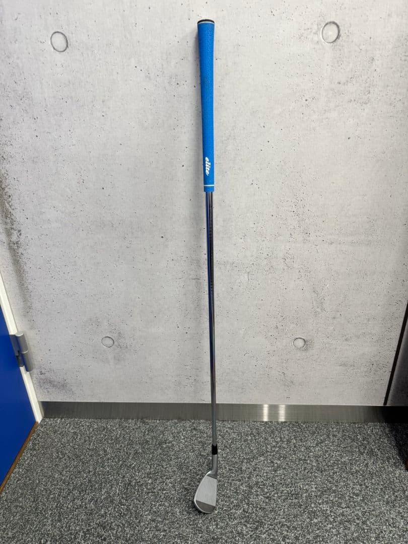 Mizuno Pro 245 アイアン GW