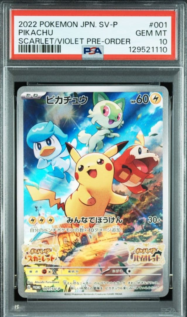 【購入不可】確認用 スカバイ プロモ ピカチュウ