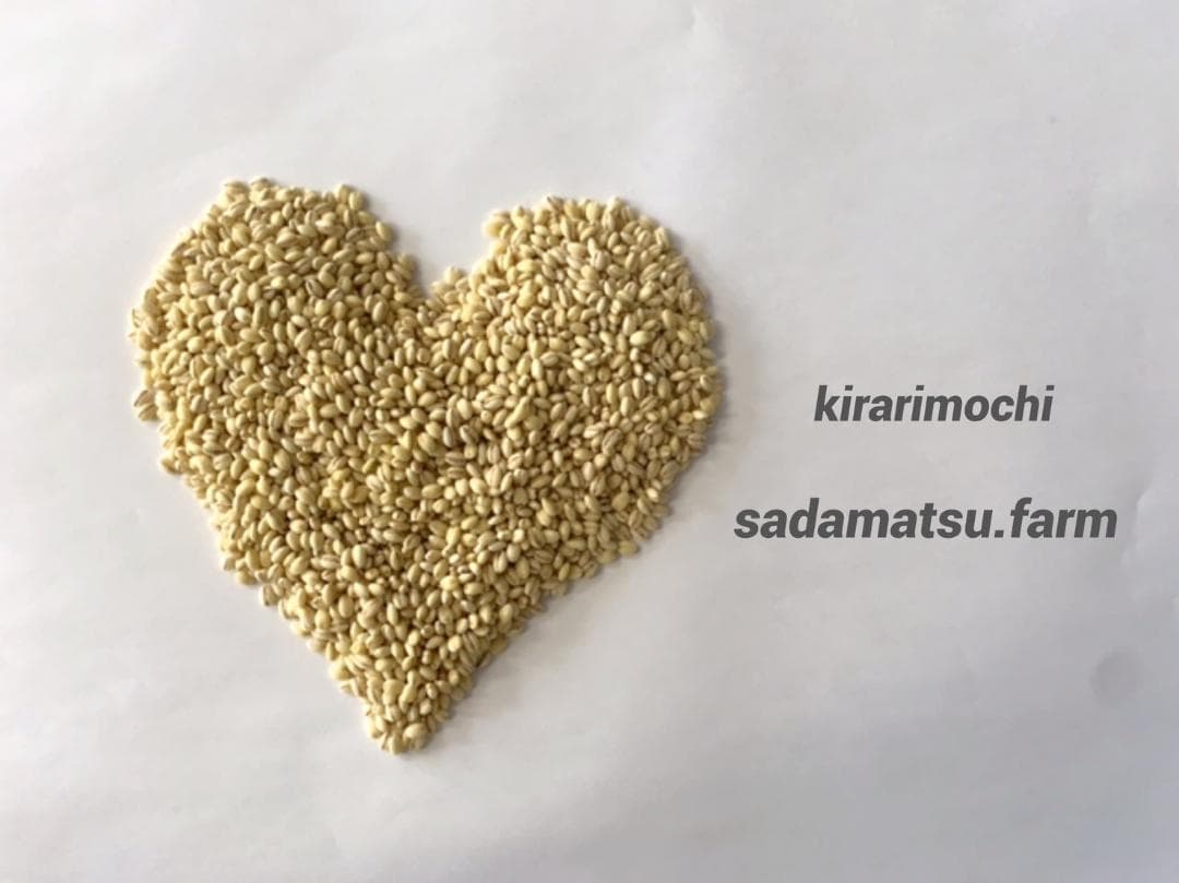 キラリモチ　もち麦　10キロ