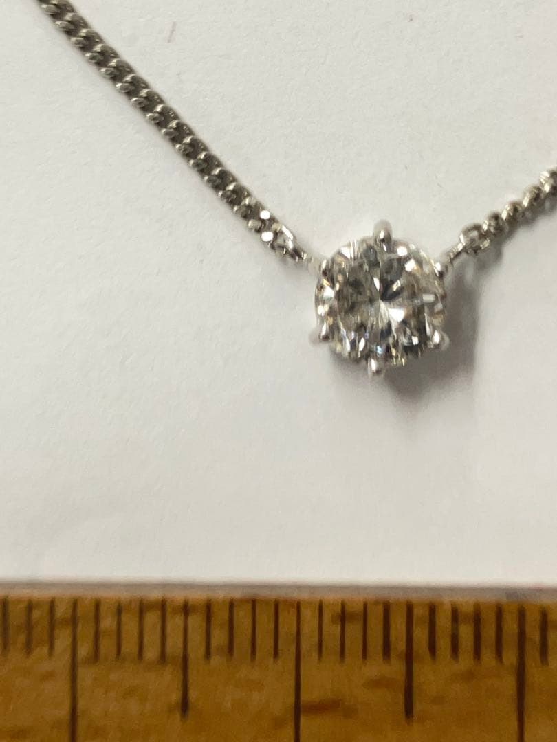 スーツプードル　