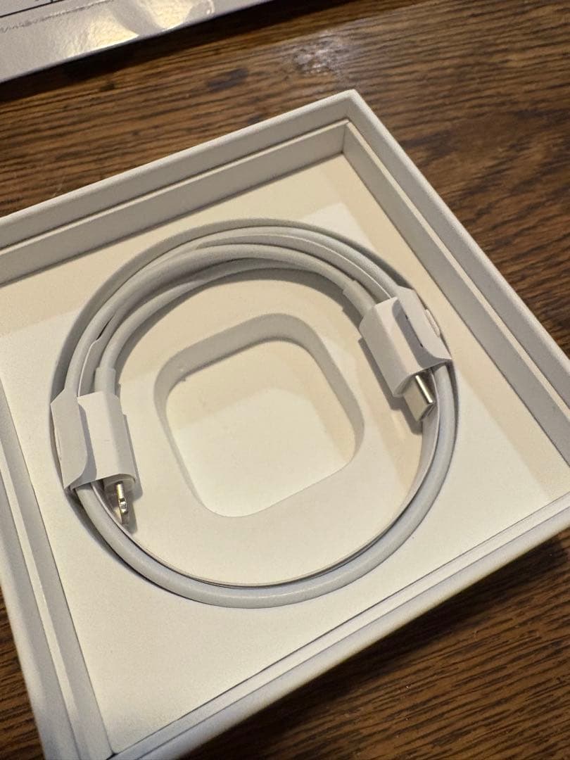 Apple AirPods Pro 【第1世代】