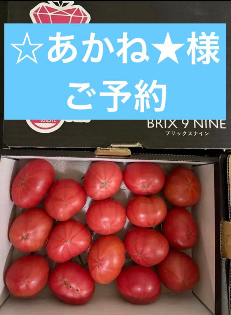 ブリックスナイン 5箱 フルーツトマト