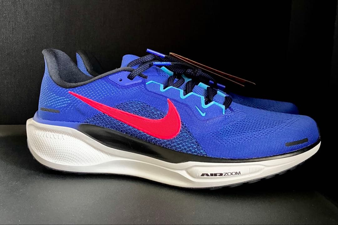 （廃番カラー、完全未使用品）ナイキ エアズーム ペガサス 41