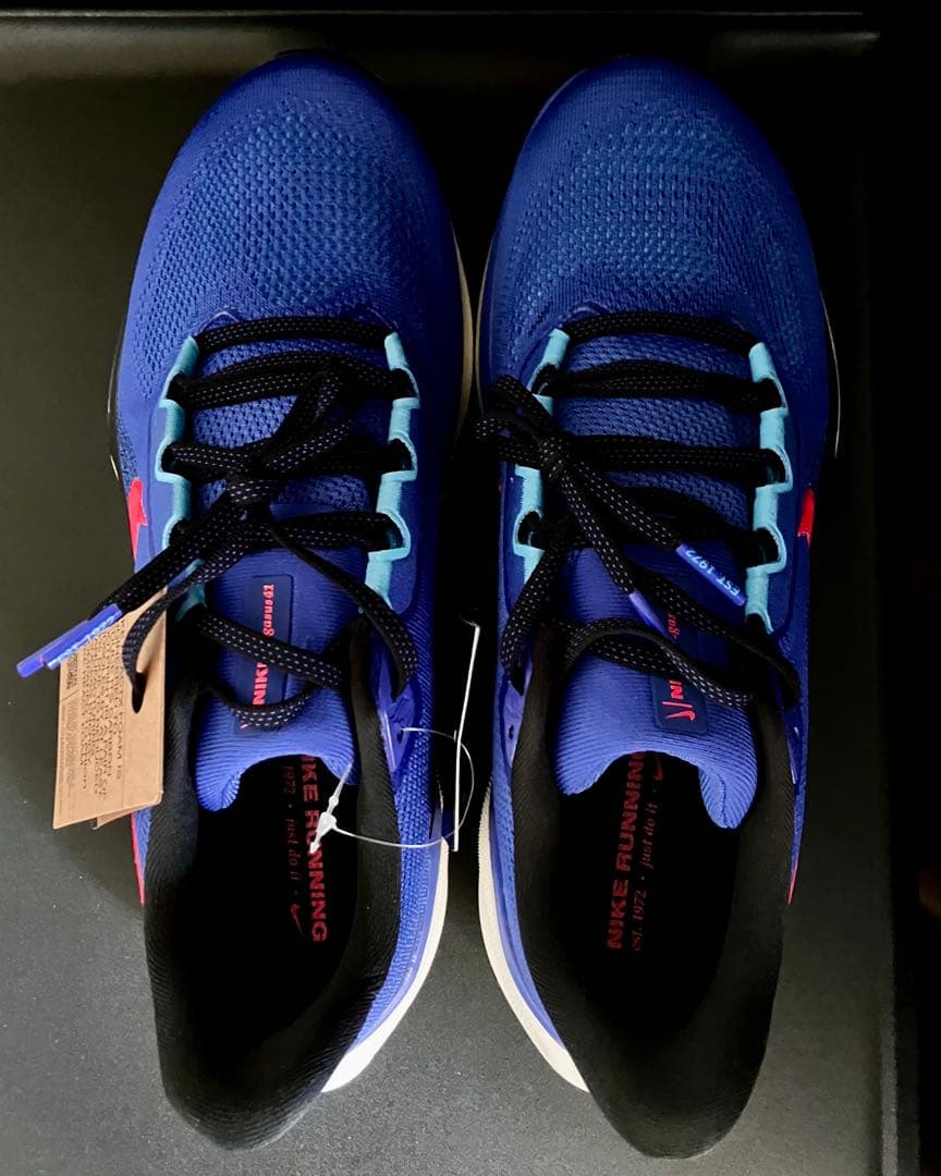 （廃番カラー、完全未使用品）ナイキ エアズーム ペガサス 41