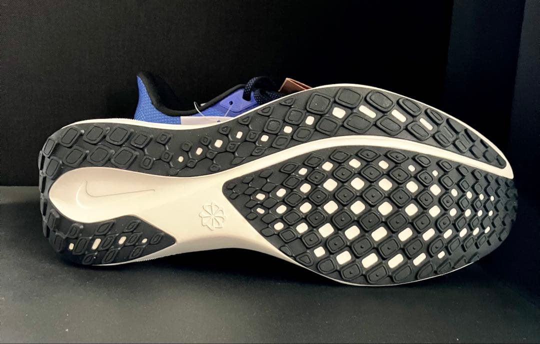 （廃番カラー、完全未使用品）ナイキ エアズーム ペガサス 41