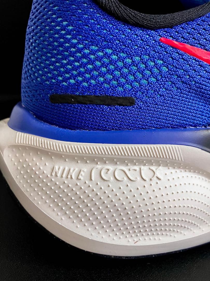 （廃番カラー、完全未使用品）ナイキ エアズーム ペガサス 41