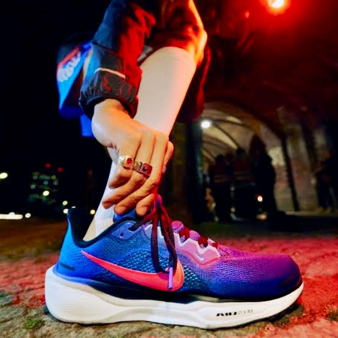 （廃番カラー、完全未使用品）ナイキ エアズーム ペガサス 41