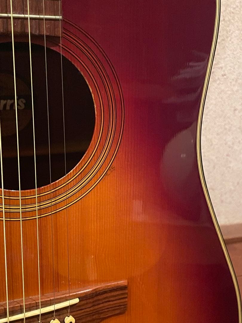 Morris MD-502/L.R.Baggsピックアップ付き