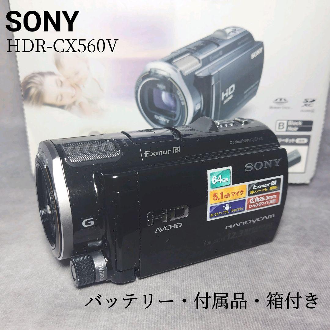 SONY HDR-CX560V ビデオカメラ 本体　付属品・箱あり