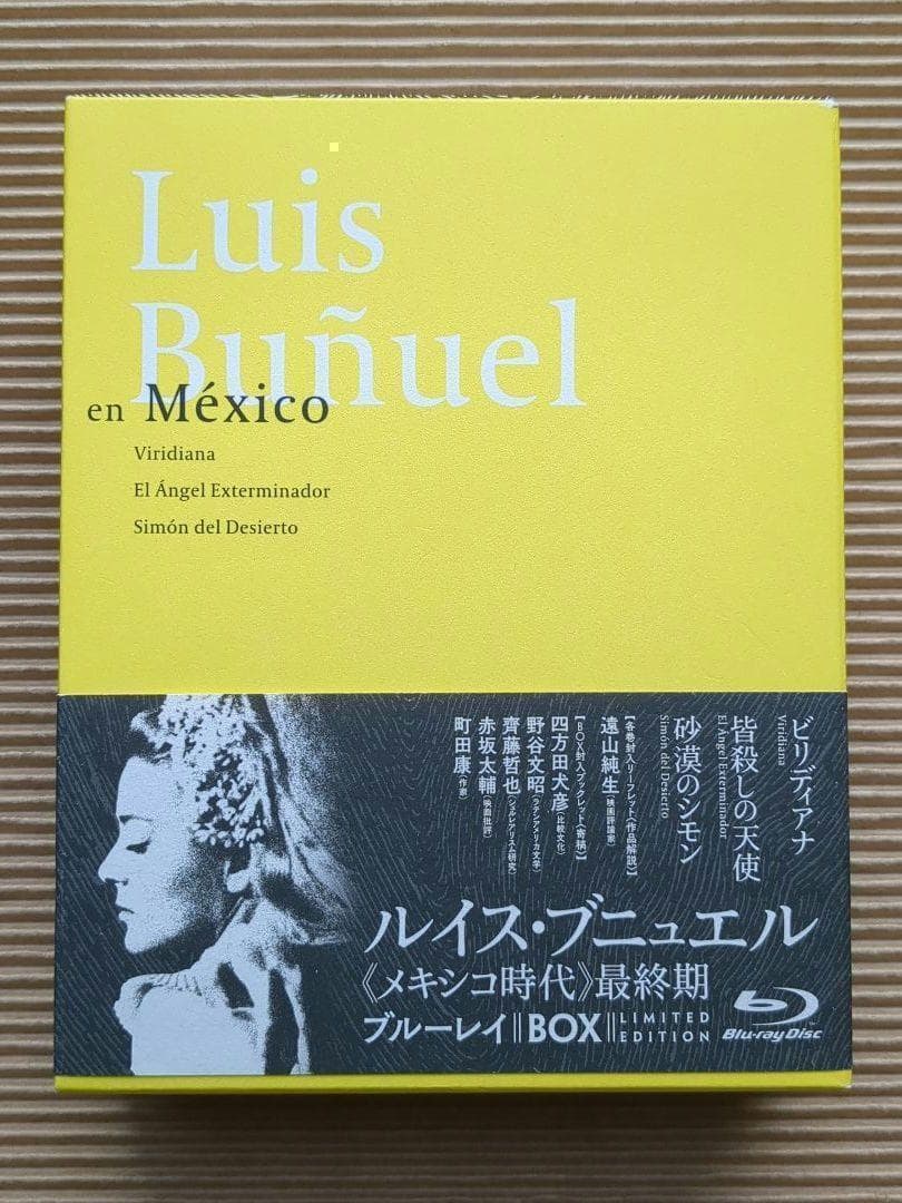 ルイス・ブニュエル Blu-ray ブルーレイ セット カトリーヌ・ドヌーヴ他