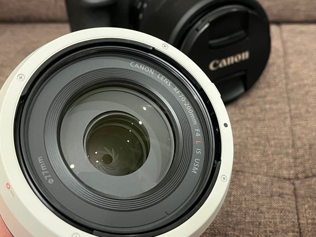 デジタルカメラ canon R6,RF24-105 f4 L,RF70-200 f4 L