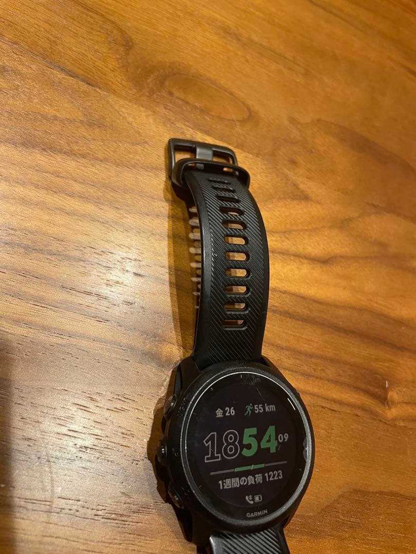 Garmin ガーミン　FOREATHLETE745