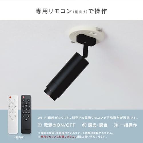 エジソンスマート ミニスポットライト (ダクトレール用/ホワイト) AlexaA