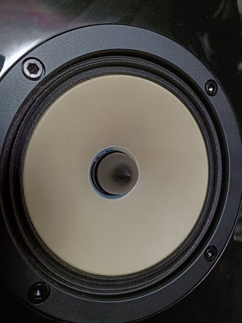 ONKYO オンキョウ D-509C センタースピーカー