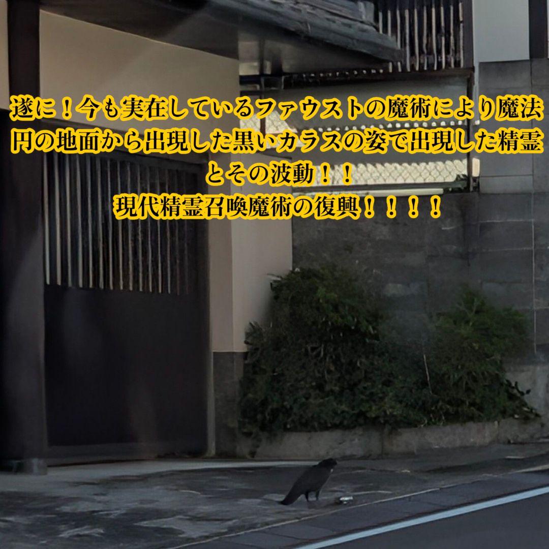 【もろみゃ〜様ご予約品】ファウストの魔術書 〜失った金銭や富を取り戻すための護符