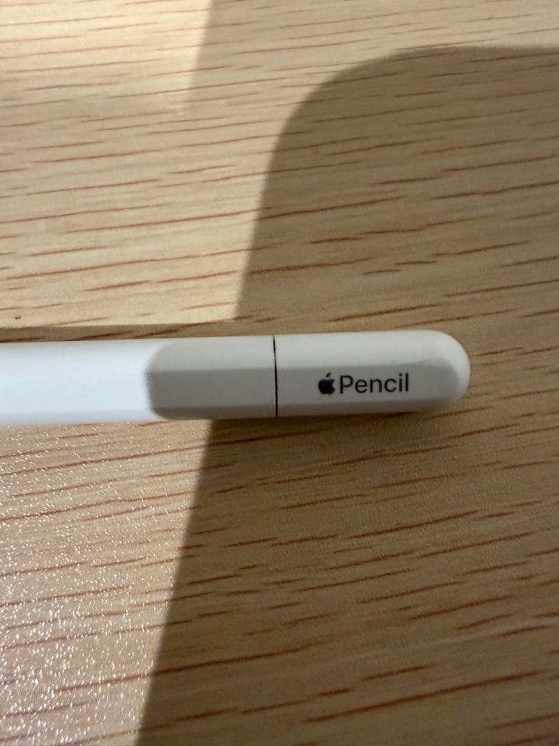 Apple Pencil (USB-c) typeC タイプC 純正