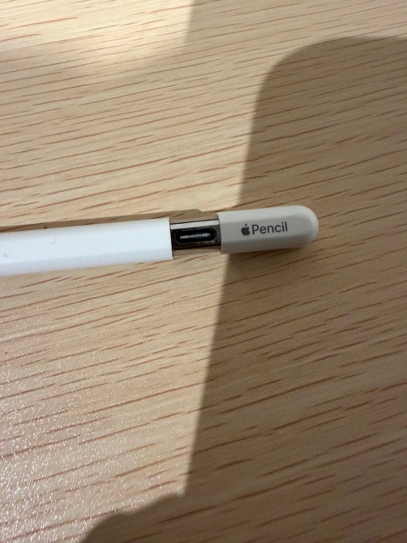 Apple Pencil (USB-c) typeC タイプC 純正