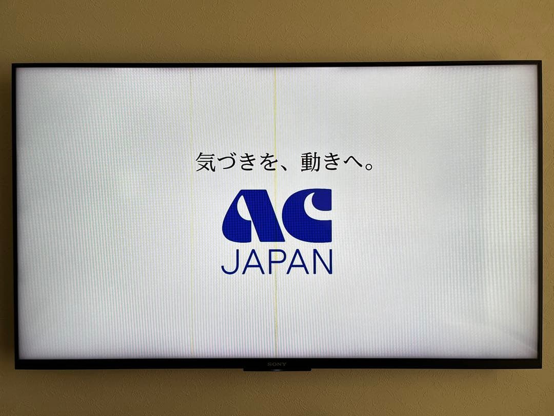 外観美品 ソニー 液晶テレビ 50インチ 付属品全てあり 元箱あり