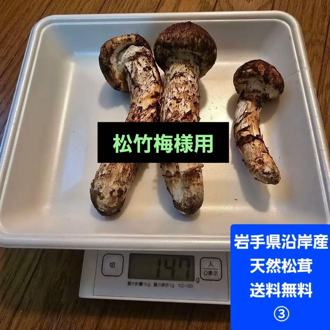 ③岩手県沿岸産 松茸 【蕾】147ｇ 送料無料‼️