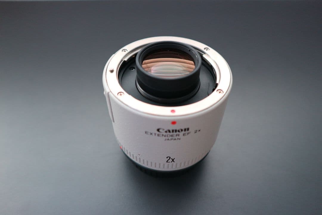 レンズ(単焦点) Canon EXTENDER EF 2x