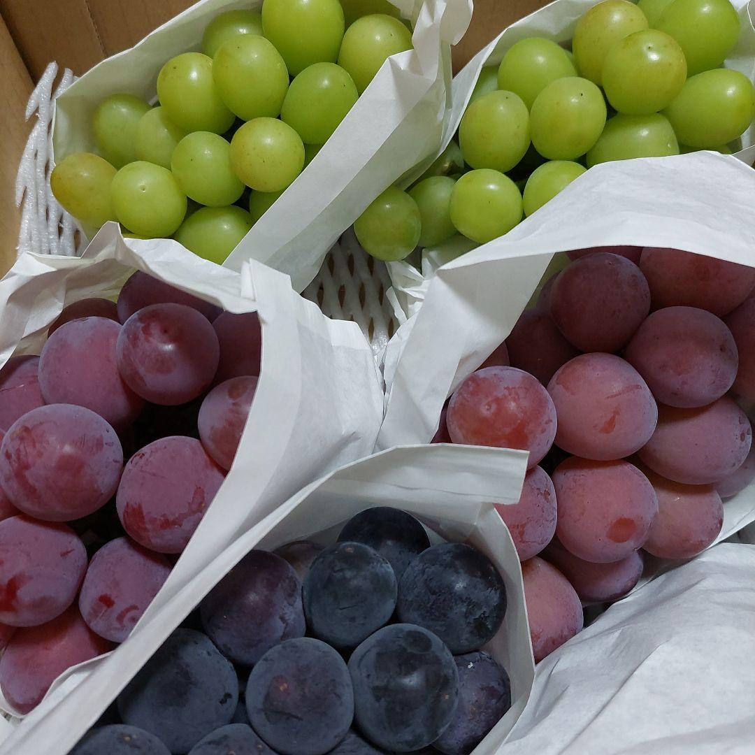 新鮮ぶどう詰め合わせシャイン　巨峰　クインニーナ　（緑・紫・黒）4キロ