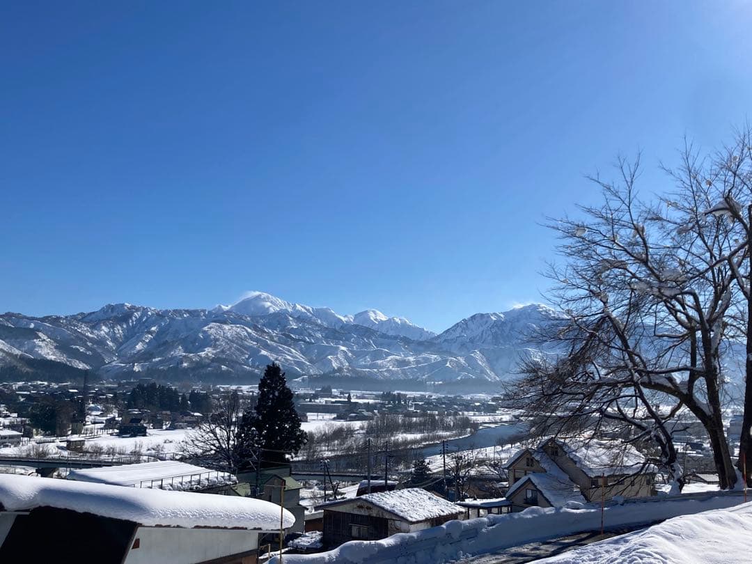 令和7年魚沼産コシヒカリ精米10kg