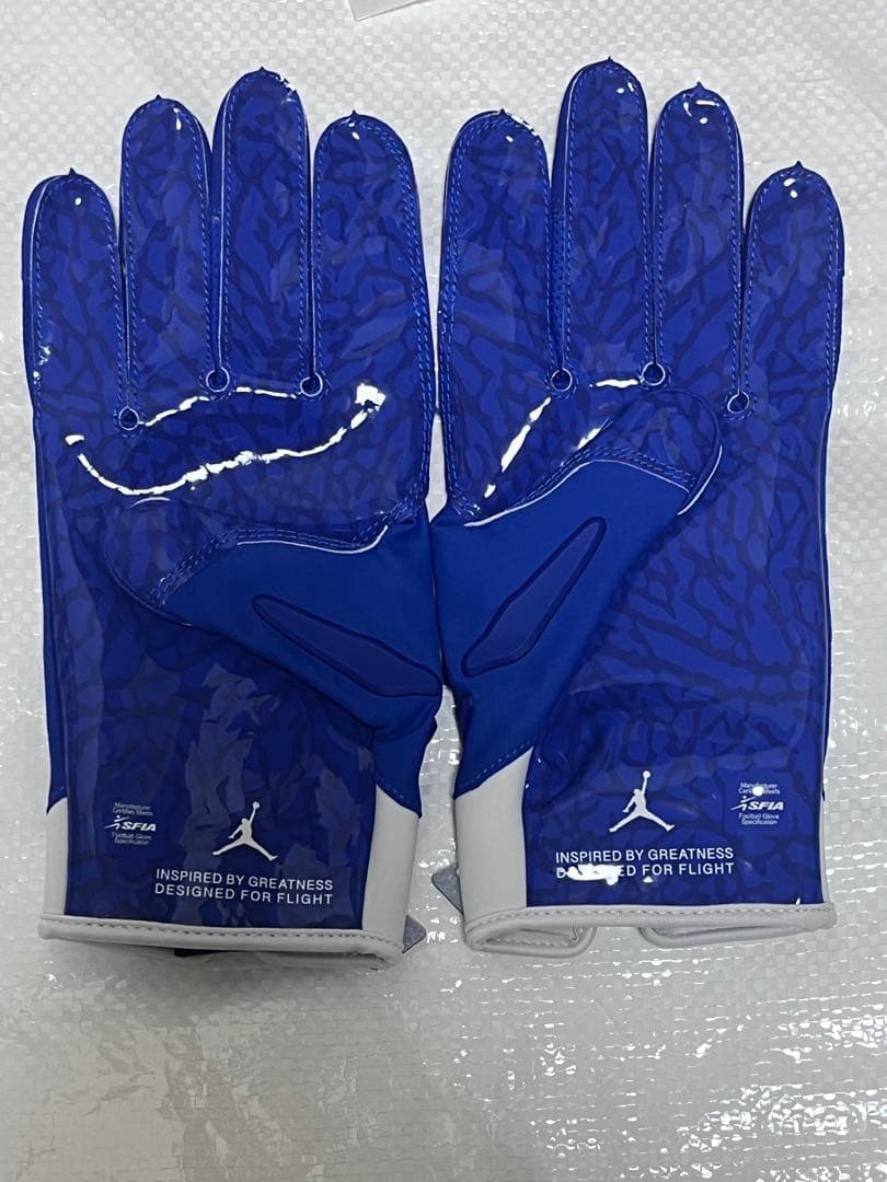 セール‼️JORDAN FLY LOCK PADDED GLOVES BLUE L