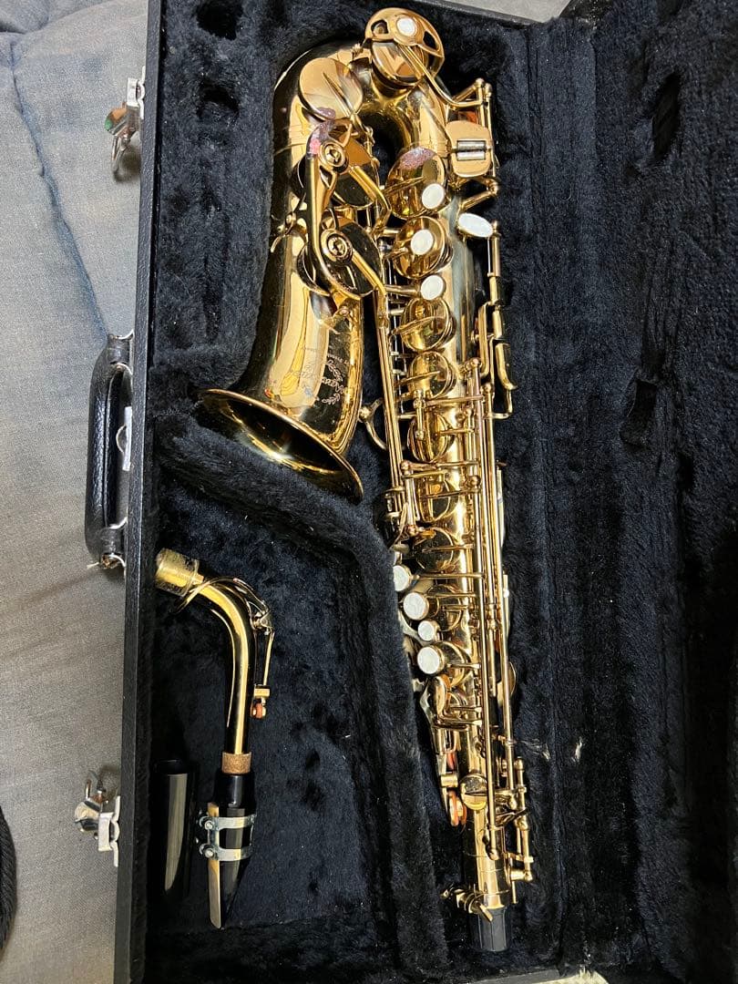 Max Toneアルトケースネックストラップリガチャーリード付Rapsag