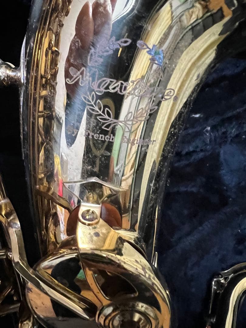 Max Toneアルトケースネックストラップリガチャーリード付Rapsag