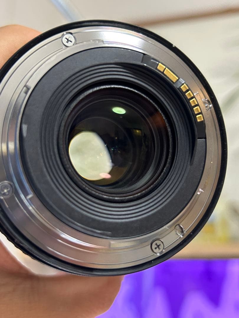 Canon EF 16-35 f4 L IS USM (+マウントアダプター)