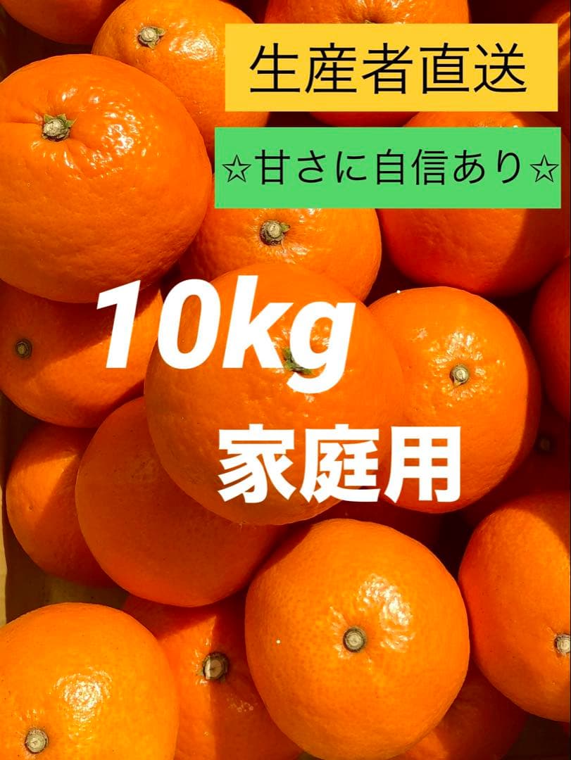 ⑩【家庭用】紅マドンナ　同品種　愛果28号　10kg