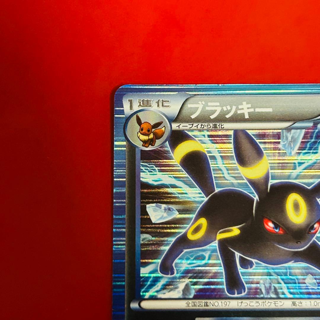 ポケモンカード　ブラッキー R BW8 ライデンナックル