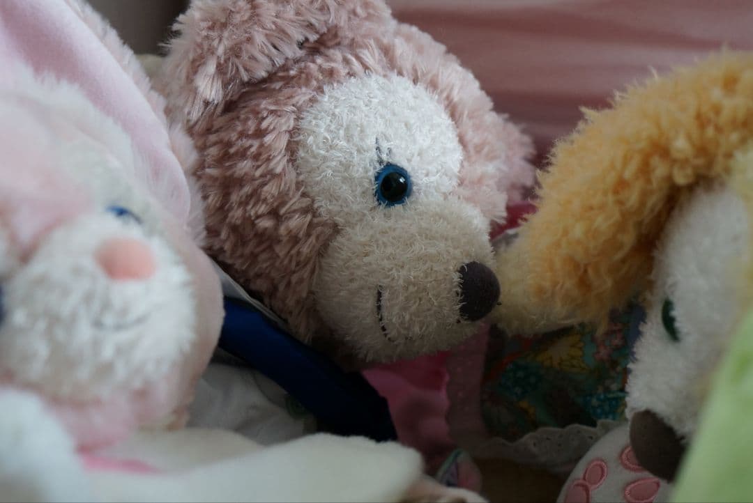 レンズ(単焦点) SONY E 50mm F1.8 SEL50F18