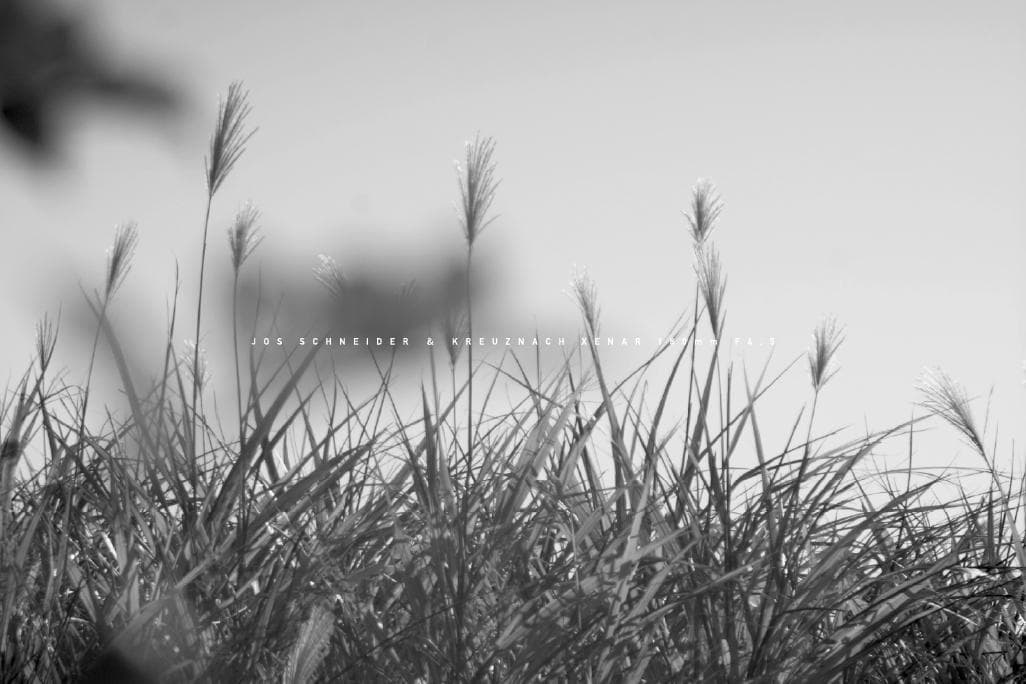 Schneider Kreuznach Xenar Ｆ4.5 M42改造