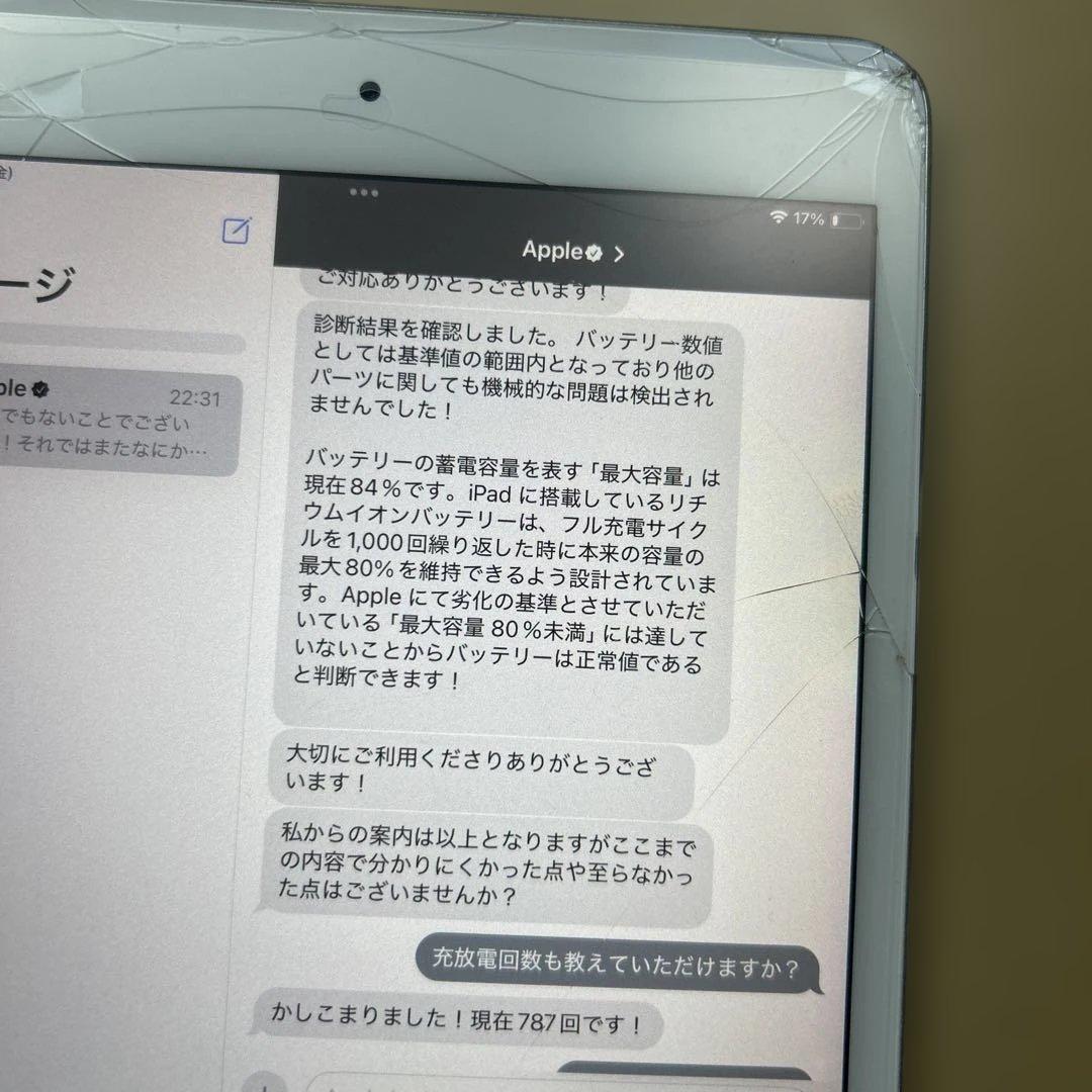 iPad mini5 第5世代　64GB Wi-Fi 画面割れあり